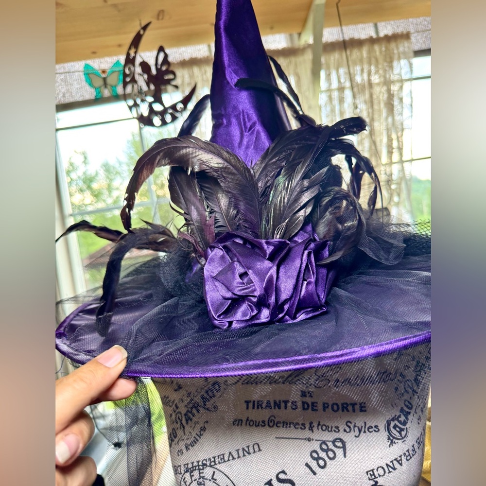 Chic Vintage Purple Feathered Witch Hat